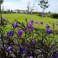Fotografía 4 de 9