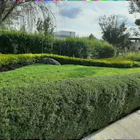 Fotografía 6 de 9