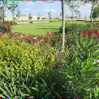 Fotografía 8 de 9