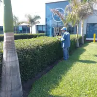 Fotografía 8 de 9