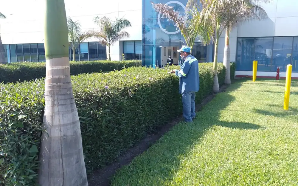 Mantenimiento de áreas verdes en Silao y Guanajuato